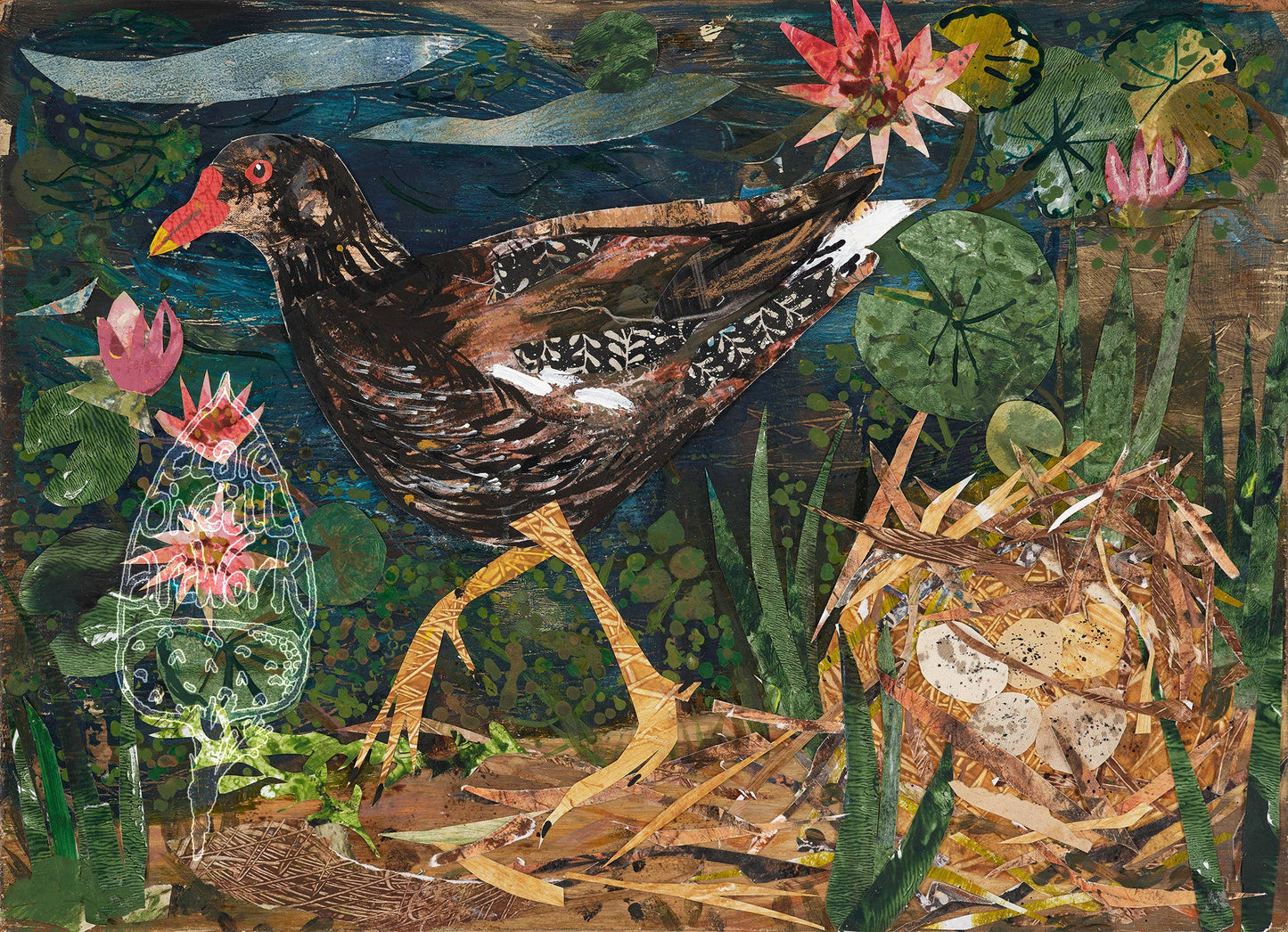 Clare O’Neill Artworks - A3 Moorhen nest art print