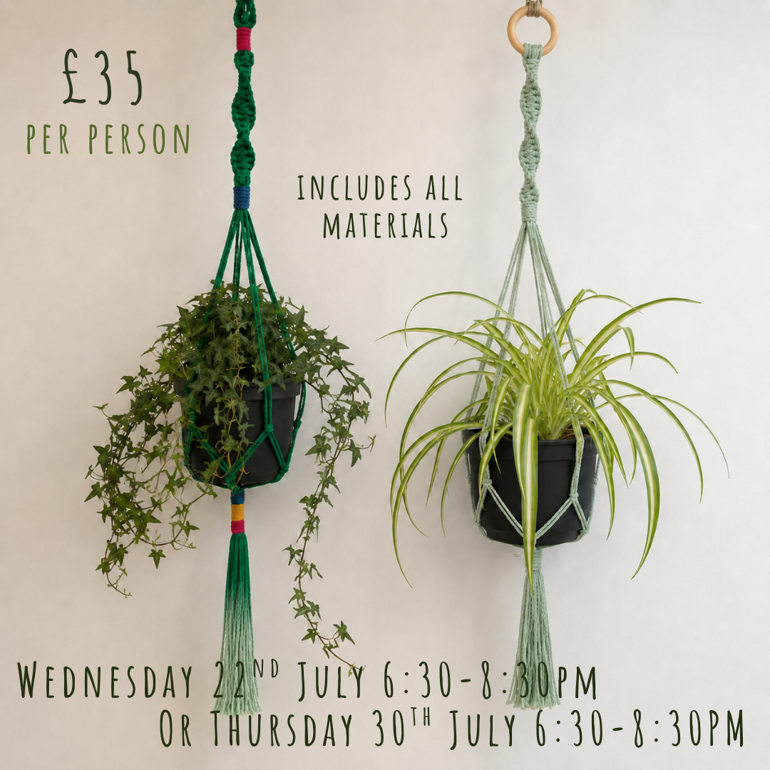 Macramé Plant Hanger Workshop