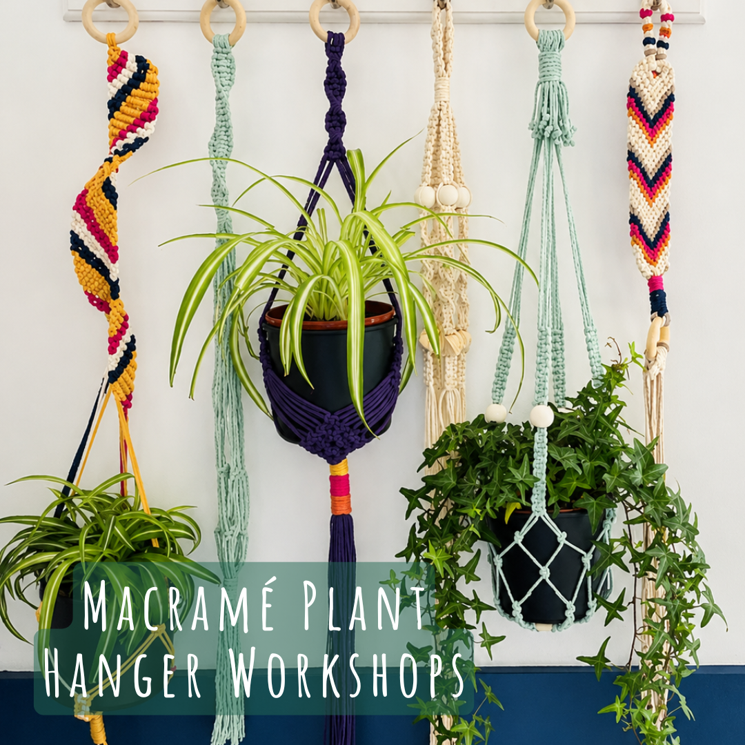 Macramé Plant Hanger Workshop