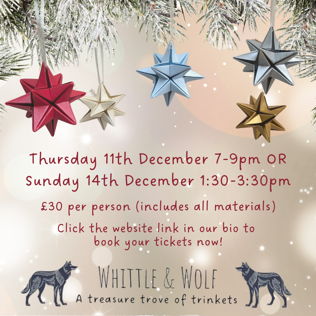 Origami Star Bauble Workshop with Origami Blooms