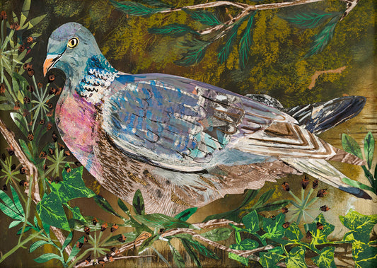 Clare O’Neill Artworks - A3 Wood pigeon in the ivy berries art print